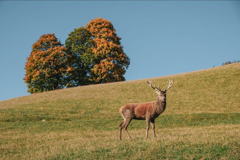 Escursioni in Tirolo
